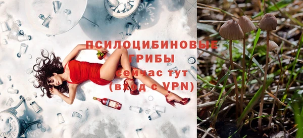 соль курить ск Магадан