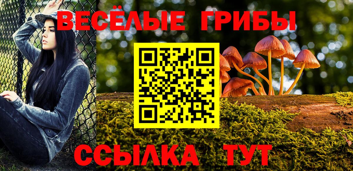 Галлюциногенные грибы Cubensis  Галлюциногенные грибы мицелий  где продают   Вход с VPN  Краснознаменск 