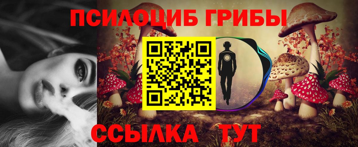 Псилоцибиновые грибы MAGIC MUSHROOMS Краснознаменск