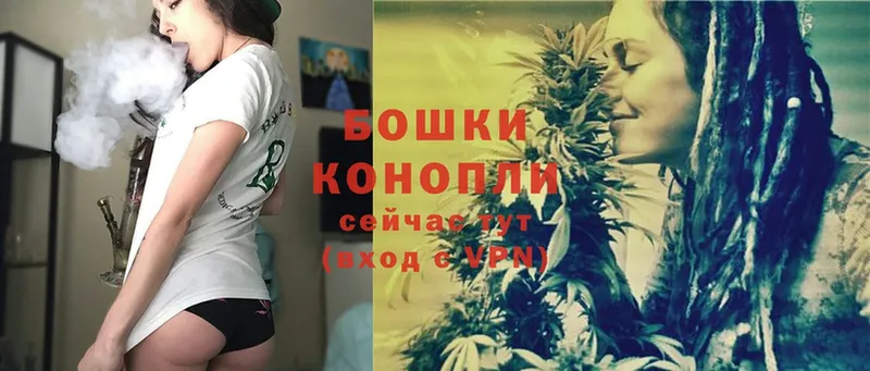 купить   Краснознаменск  Бошки Шишки Ganja 